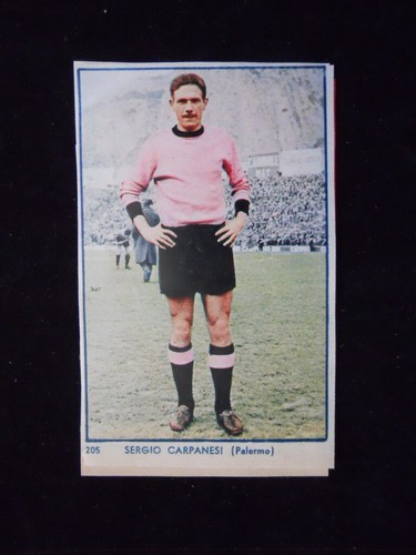 Figurina 205 sergio - figurina, n°205